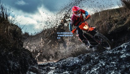 NBA季后赛激战正酣 东西部豪强展开激烈角逐